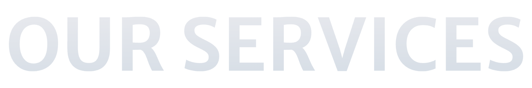 Our Services Large Gray Font BG